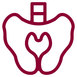 pelvic-floor-dysfunction-icon