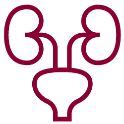 urinary-incontinence-icon